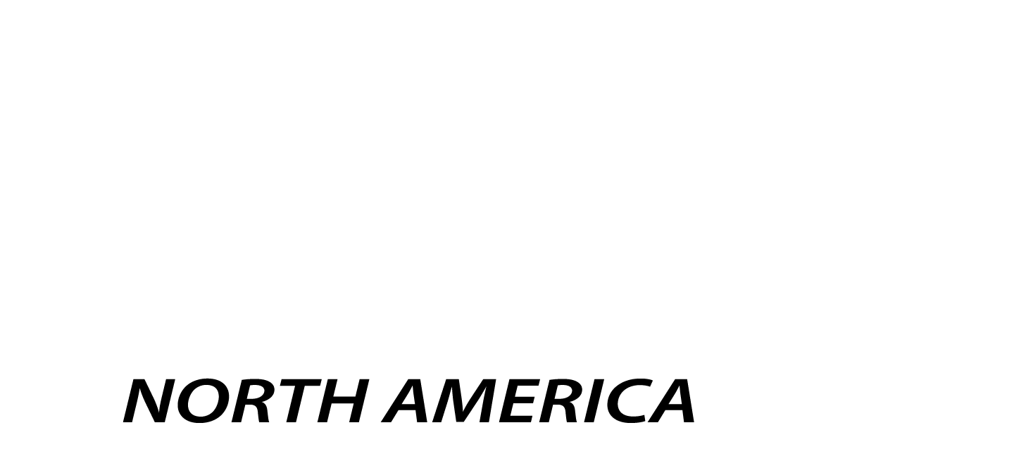 Electronic Wood Systems
