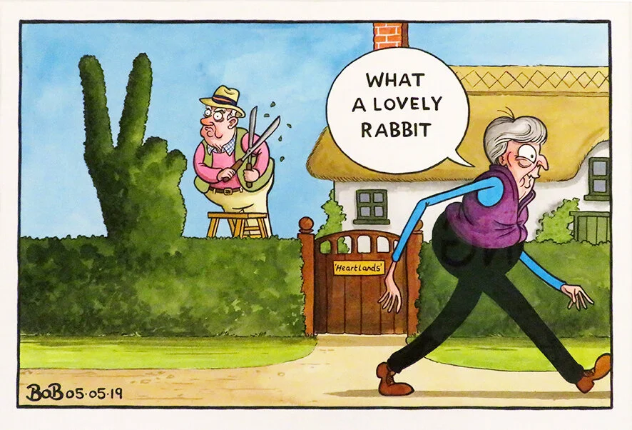 ‘What a Lovely Rabbit’ by Bob Moran ‘BOB’