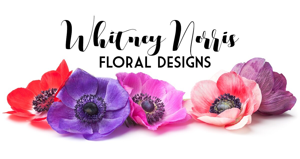 Whitney Norris Floral Designs