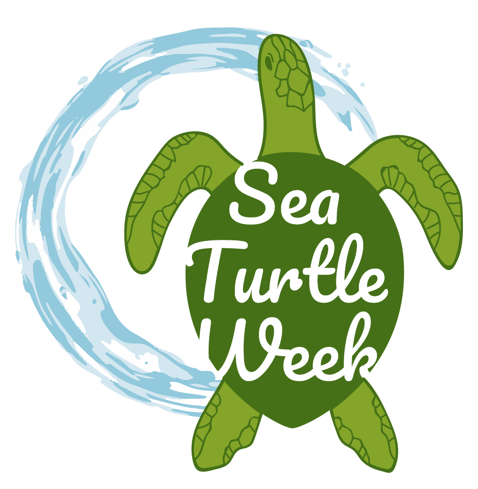 #SeaTurtleWeek