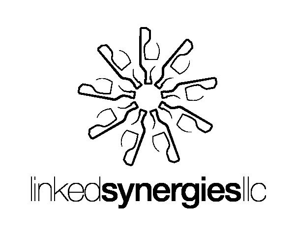 Linked Synergies LLC