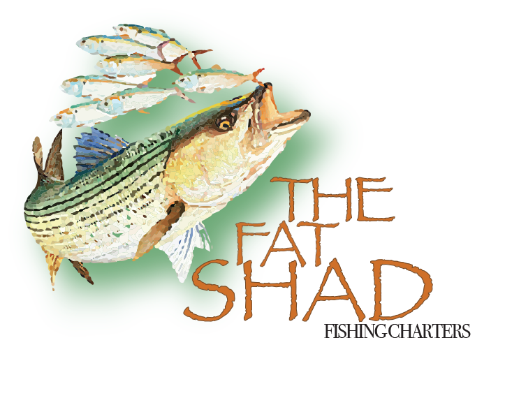 The Fat Shad