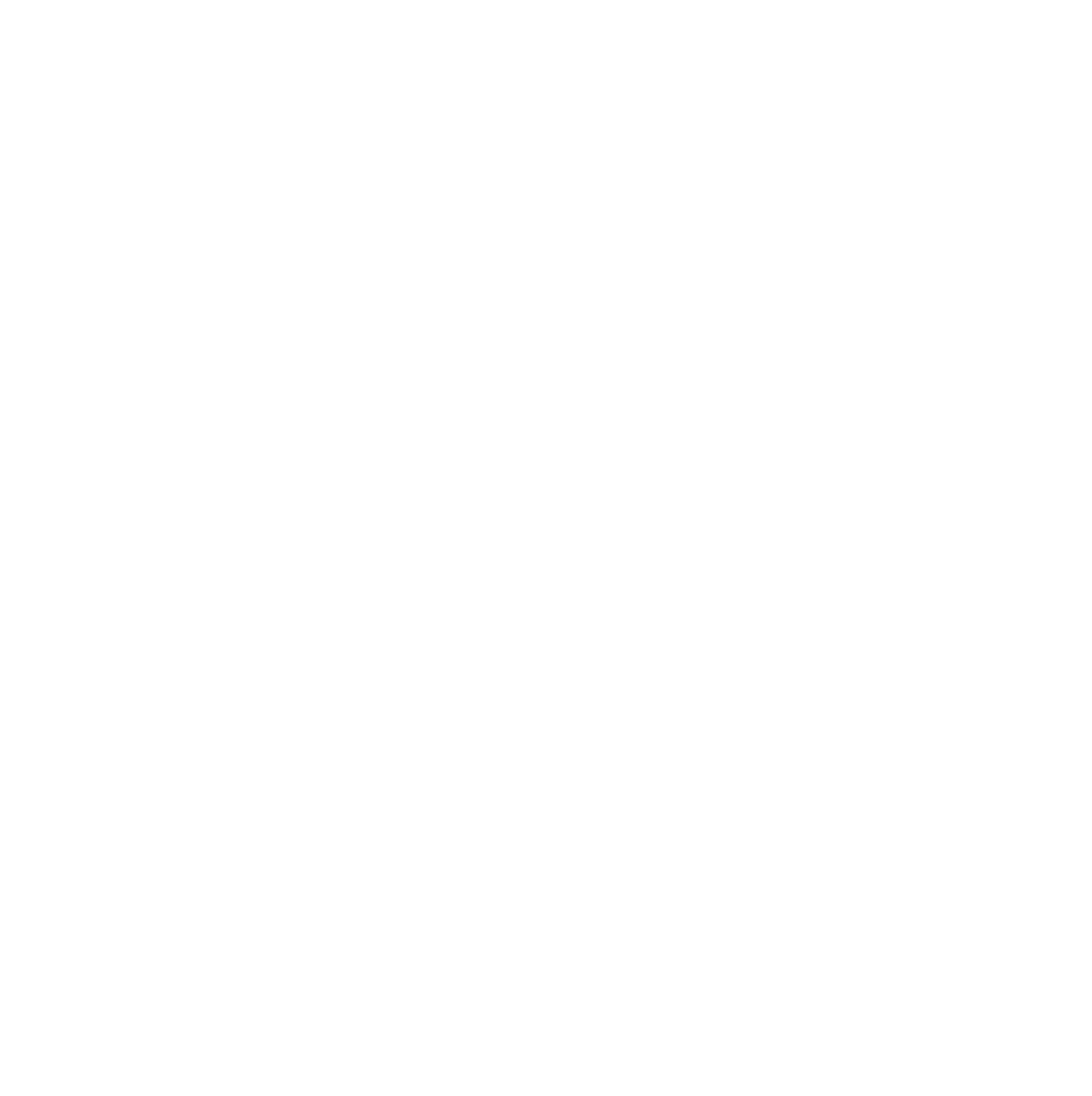 CITY CAMP NYMA
