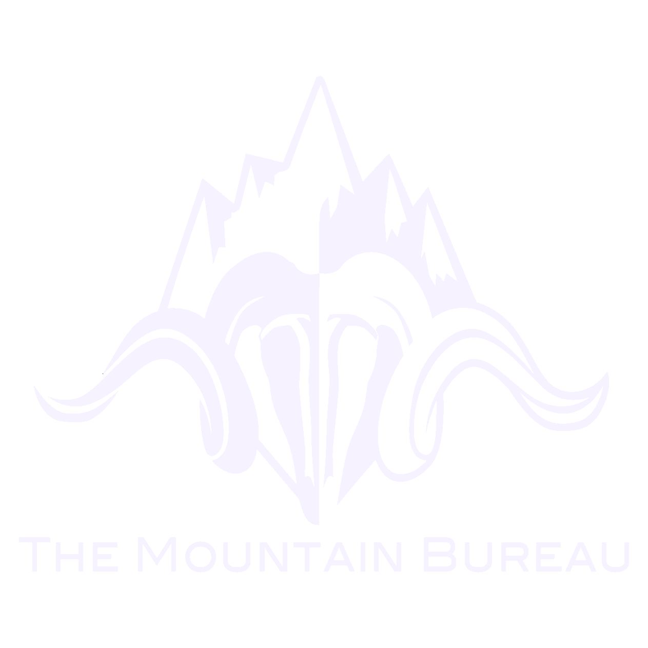 Mountain Bureau LLC