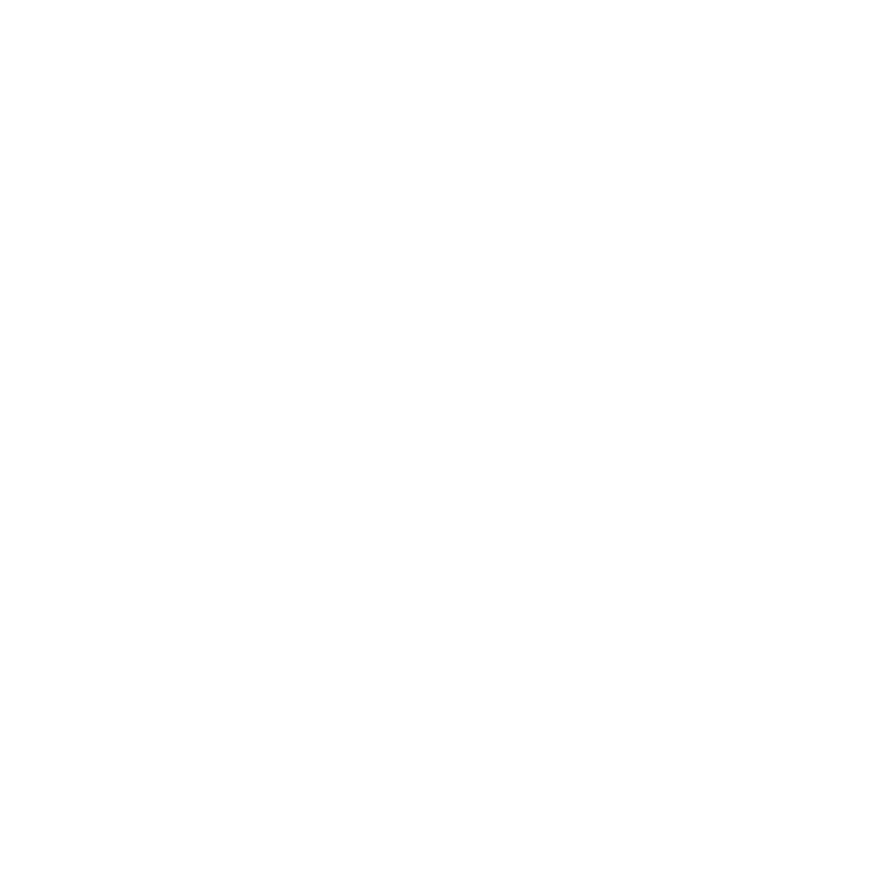 National African American Fellowship - SBC