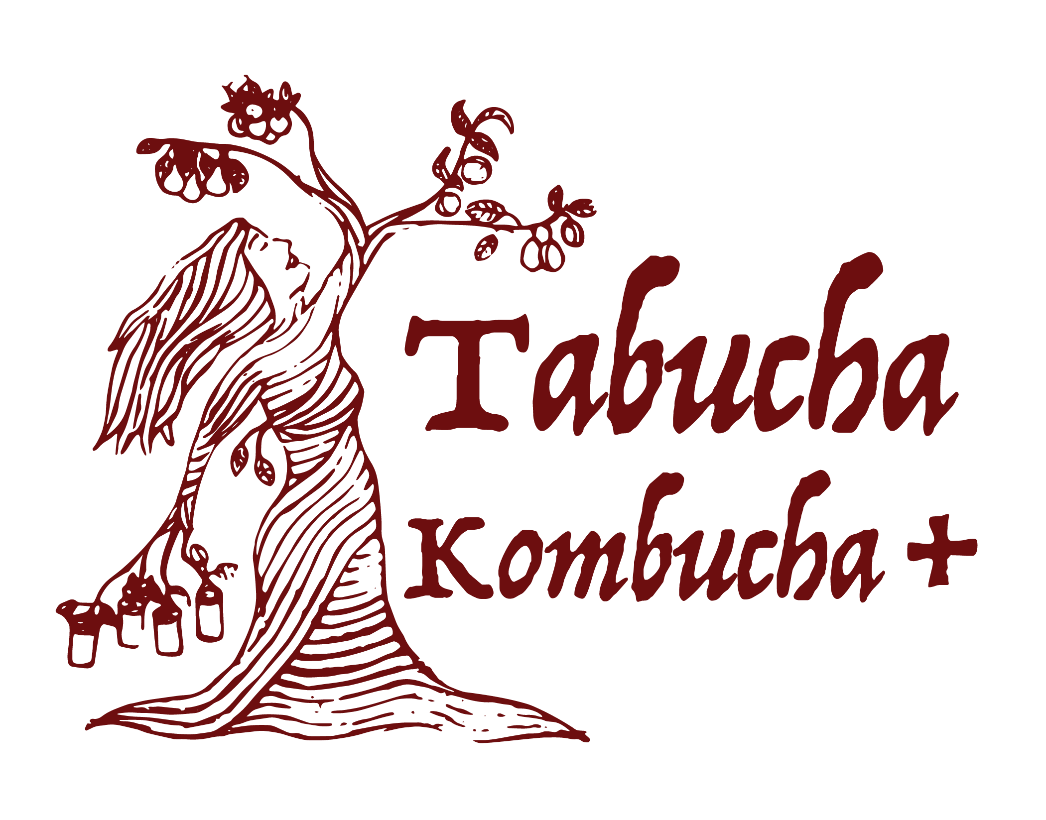 Tabucha Kombucha +