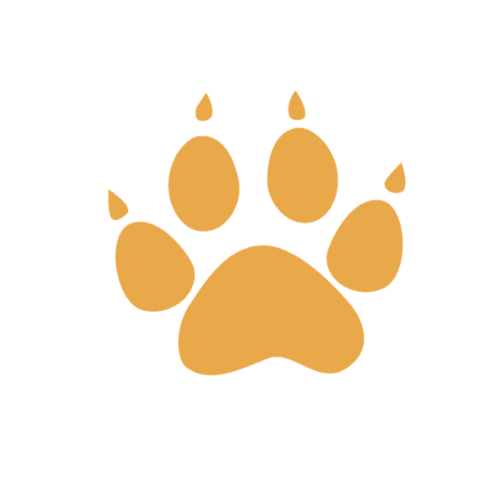 Sunita Williams Elementary School PTC
