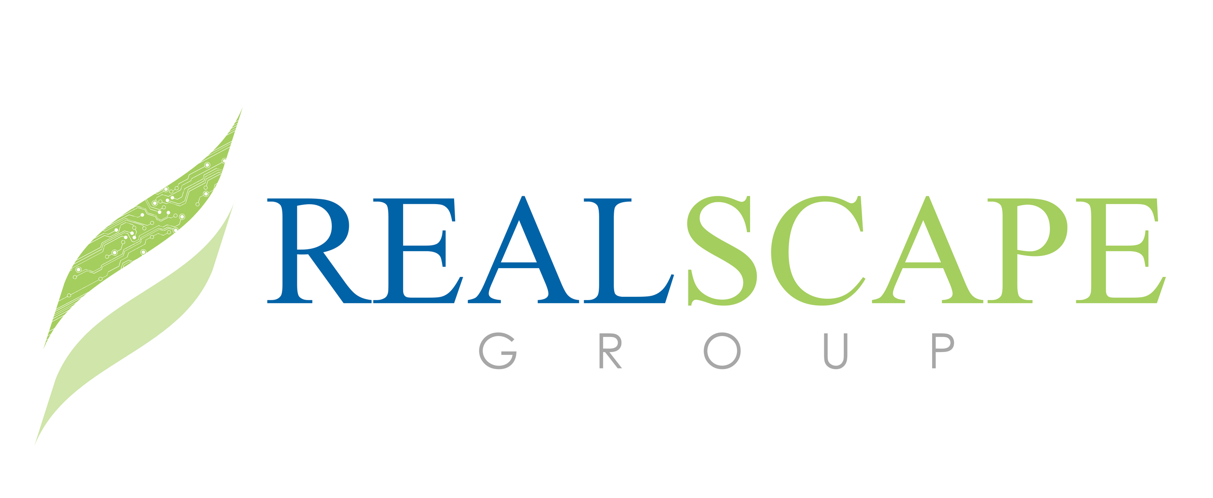 REALSCAPE GROUP - Contemporary Technology Solutions