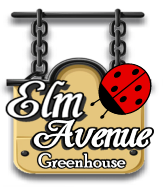 Elm Avenue Greenhouse