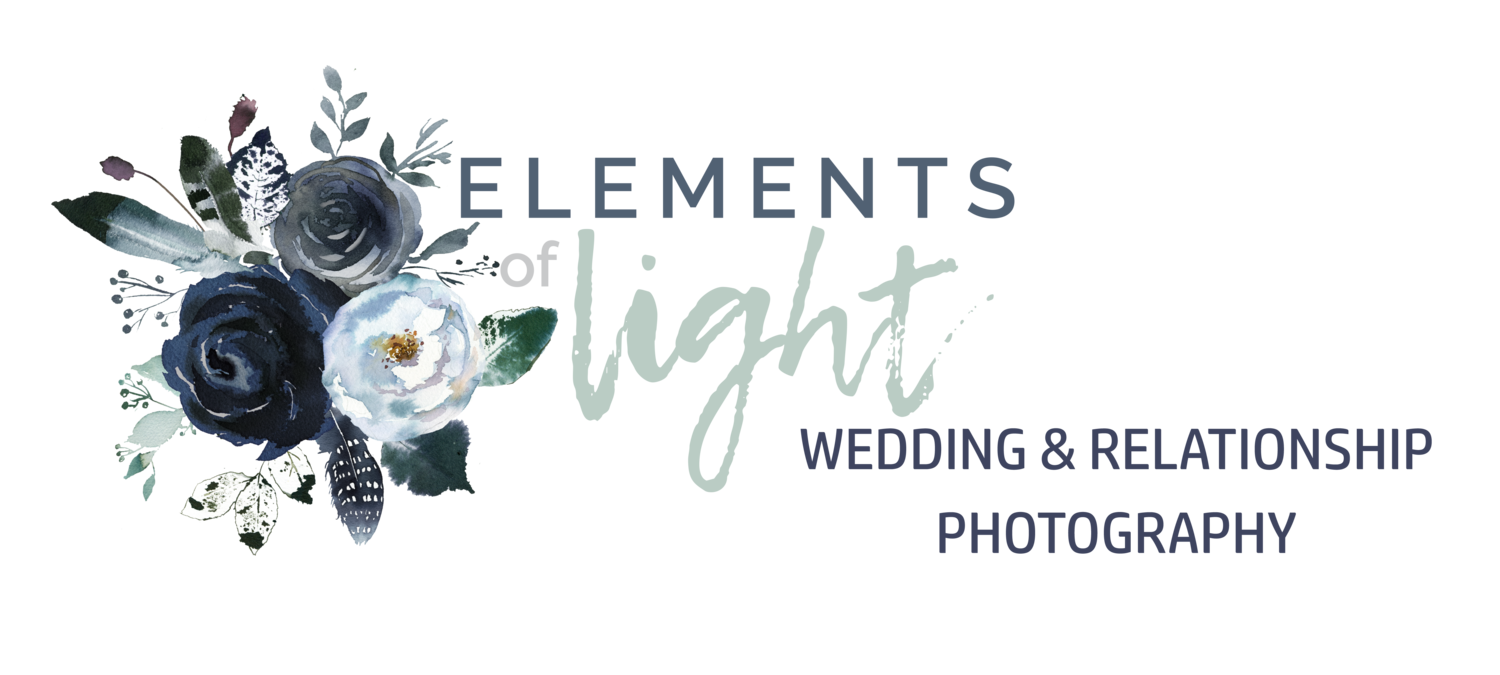 Elements of Light Photography