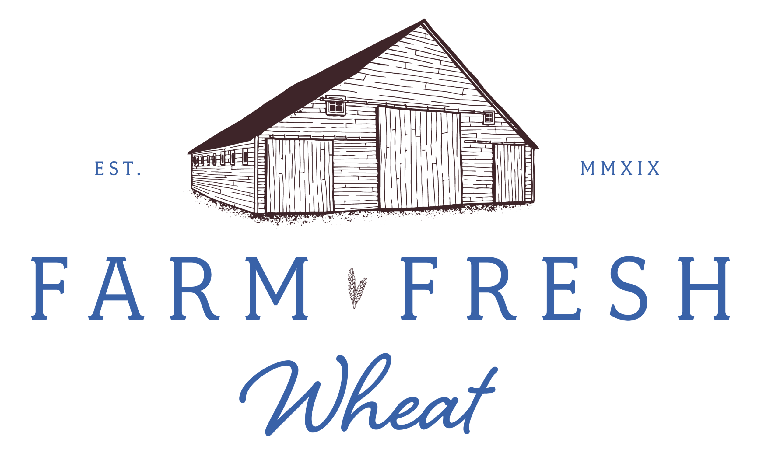 Farm Fresh Wheat | White Wheat Berries for Home Milling