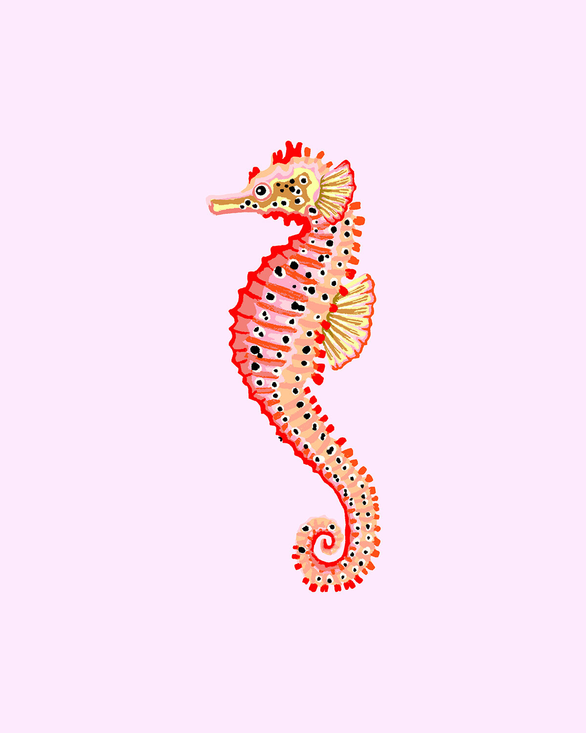 pink seahorse