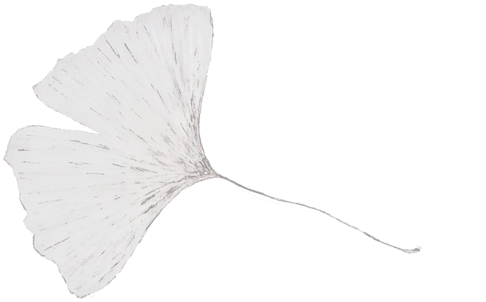 ECHO inc