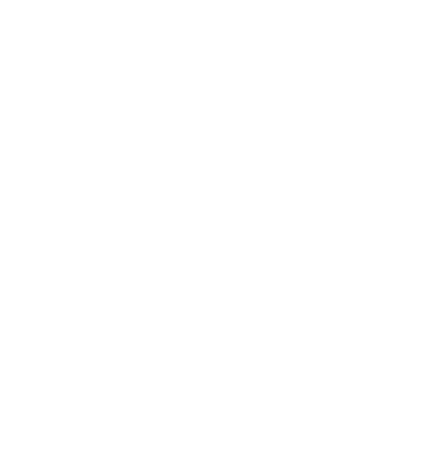 HL2 Hairdressing