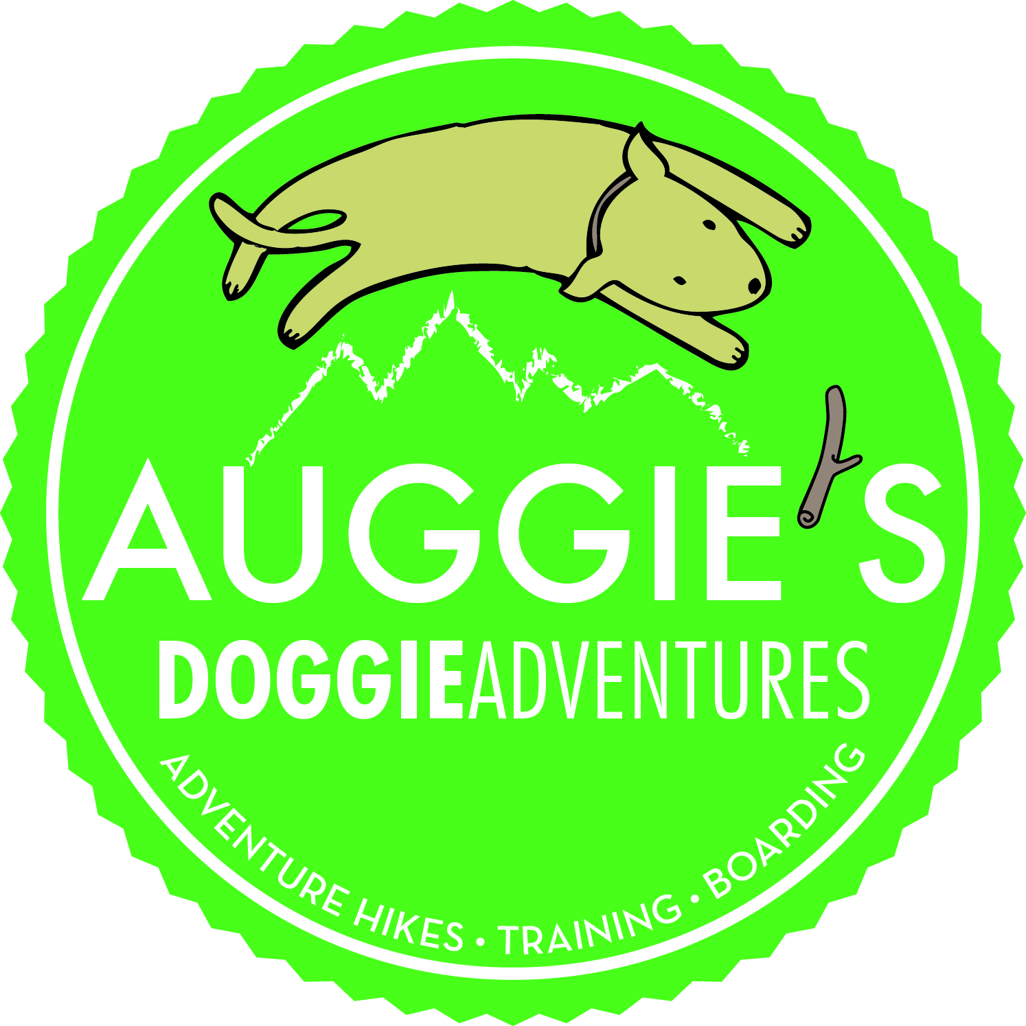 Auggie&#39;s Doggie Adventures