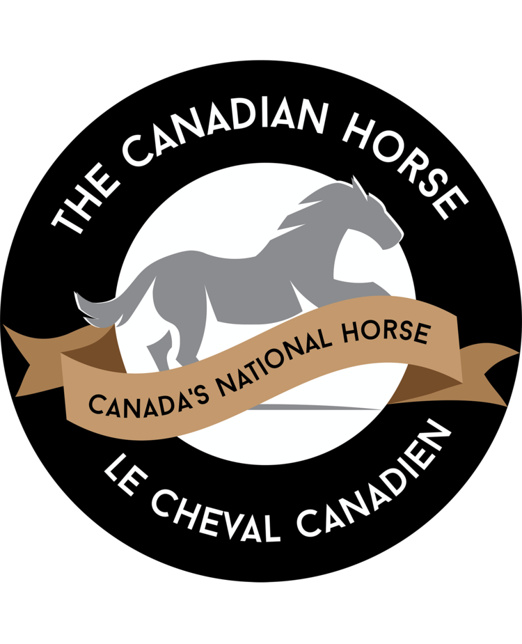 The Canadian Horse