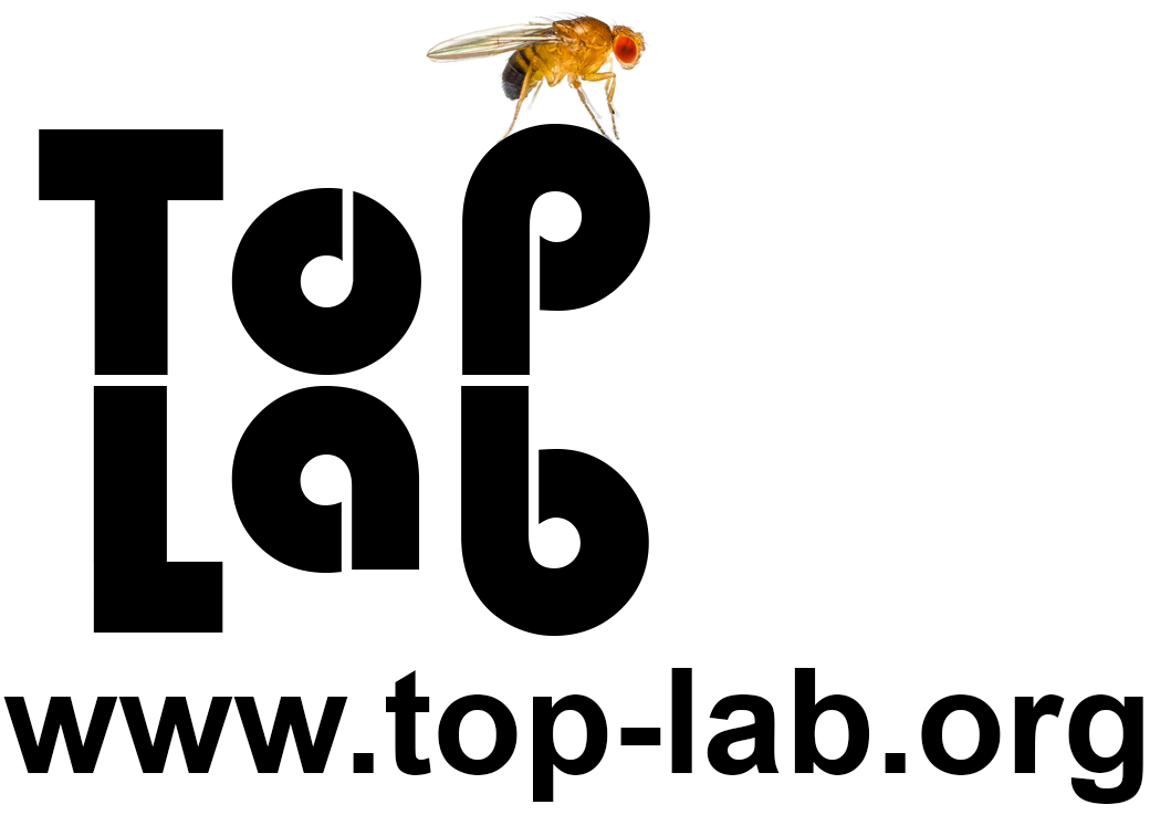 Top Lab