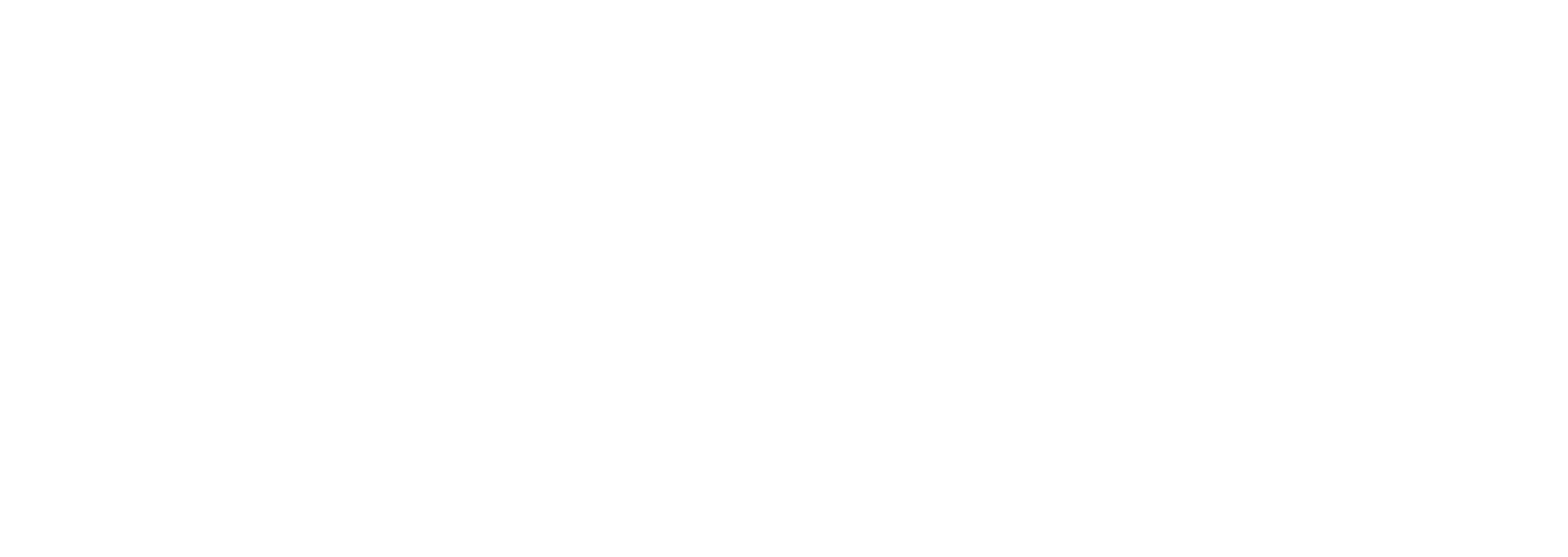 The DOMUS GROUP
