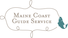 Maine Coast Guide Service