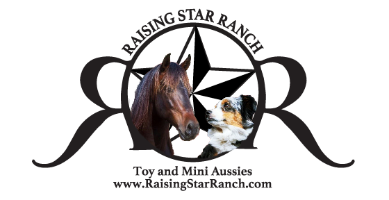 Raising Star Ranch