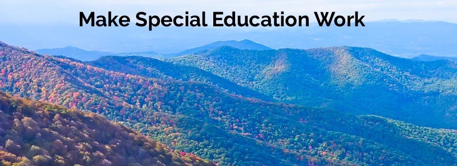 Make Special Education Work