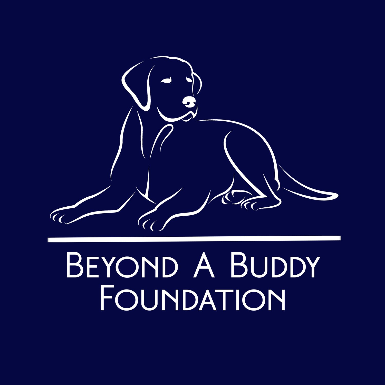 Beyond a Buddy Foundation