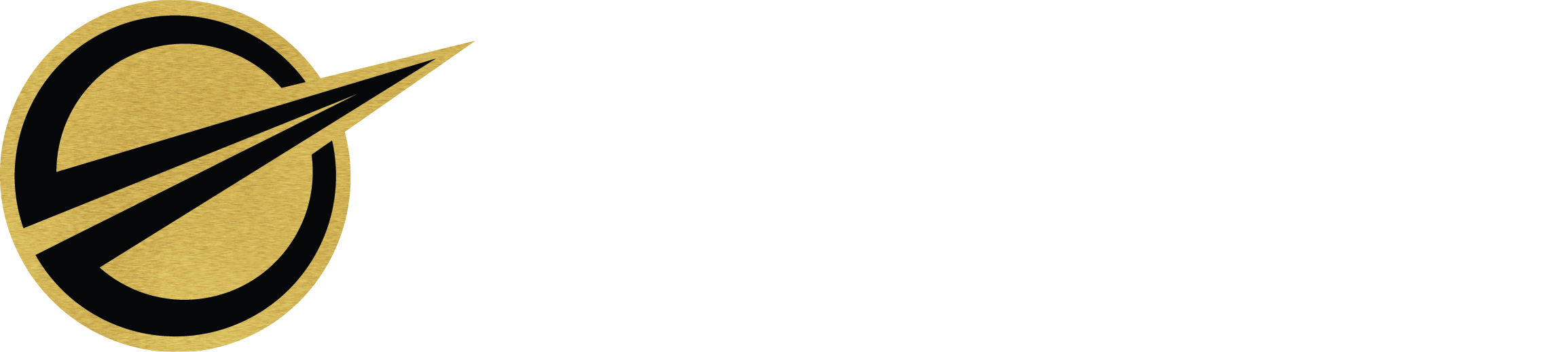 Excelsior Insights