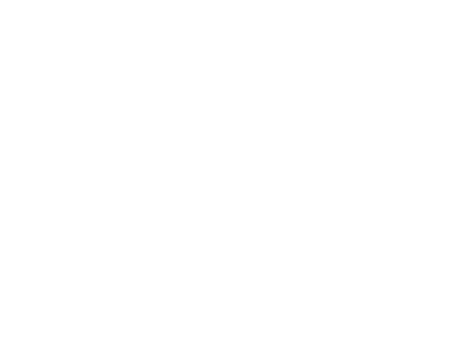 Disco Fries