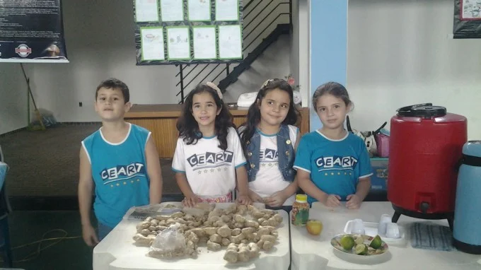 FEIRA DE CIÊNCIAS 2013