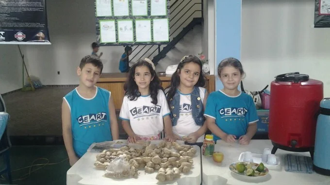 FEIRA DE CIÊNCIAS 2013