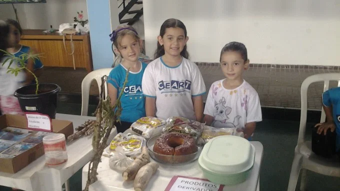 FEIRA DE CIÊNCIAS 2013