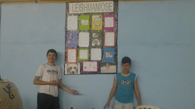 FEIRA DE CIÊNCIAS 2013