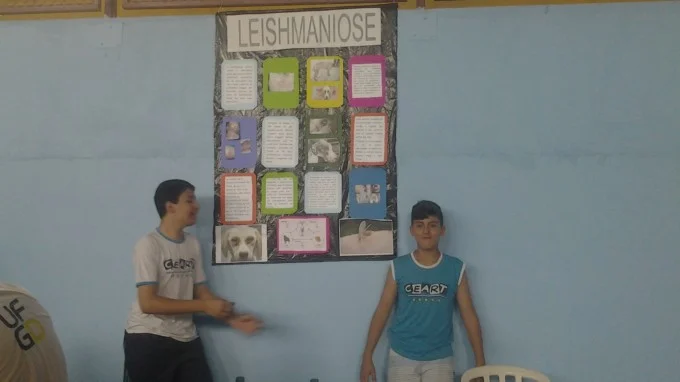 FEIRA DE CIÊNCIAS 2013
