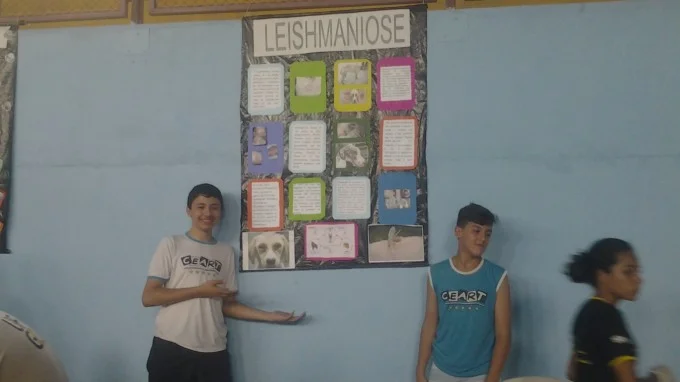 FEIRA DE CIÊNCIAS 2013