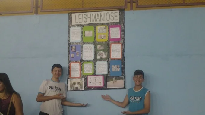 FEIRA DE CIÊNCIAS 2013