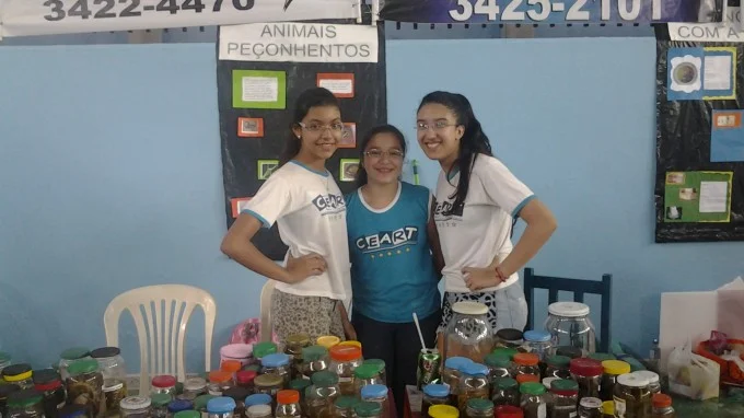 FEIRA DE CIÊNCIAS 2013