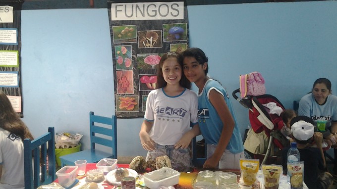 FEIRA DE CIÊNCIAS 2013