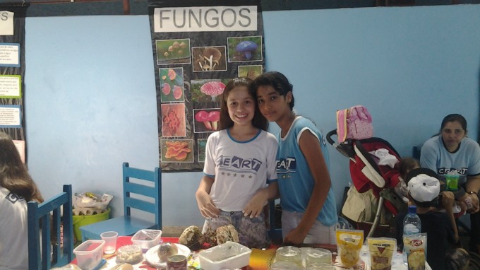 FEIRA DE CIÊNCIAS 2013