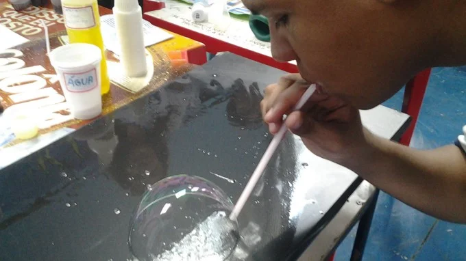 FEIRA DE CIÊNCIAS 2013