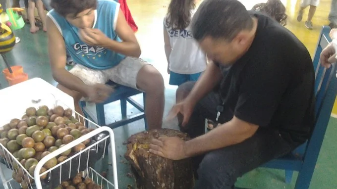FEIRA DE CIÊNCIAS 2013