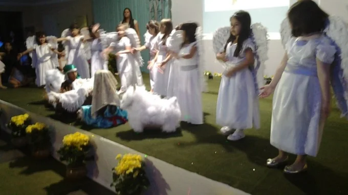 Formatura dos alunos da Educação Infantil - 2013