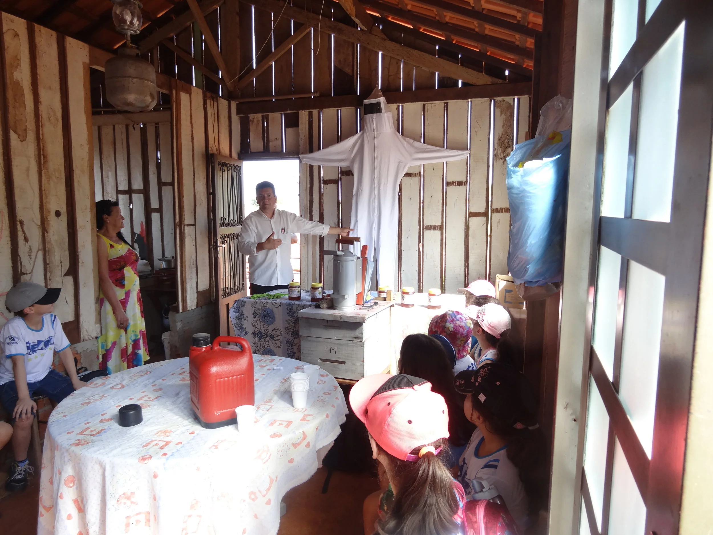 Projeto "Abelhas" - 2º ano B - Profª Eunice