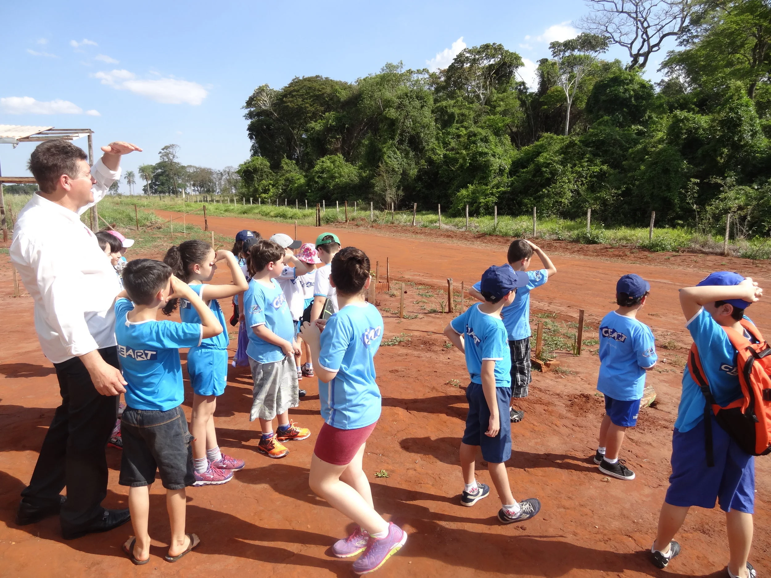 Projeto "Abelhas" - 2º ano B - Profª Eunice