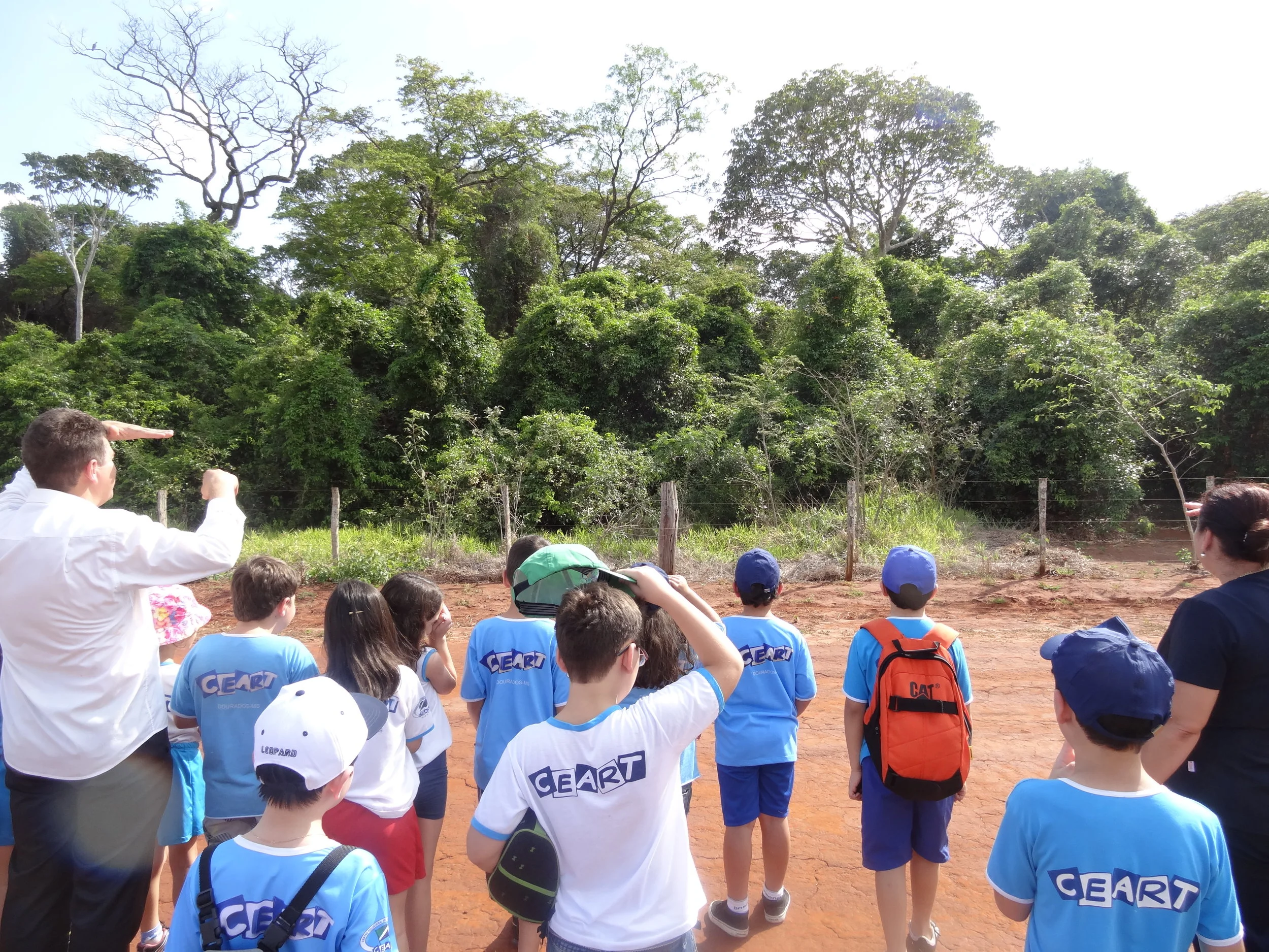 Projeto "Abelhas" - 2º ano B - Profª Eunice