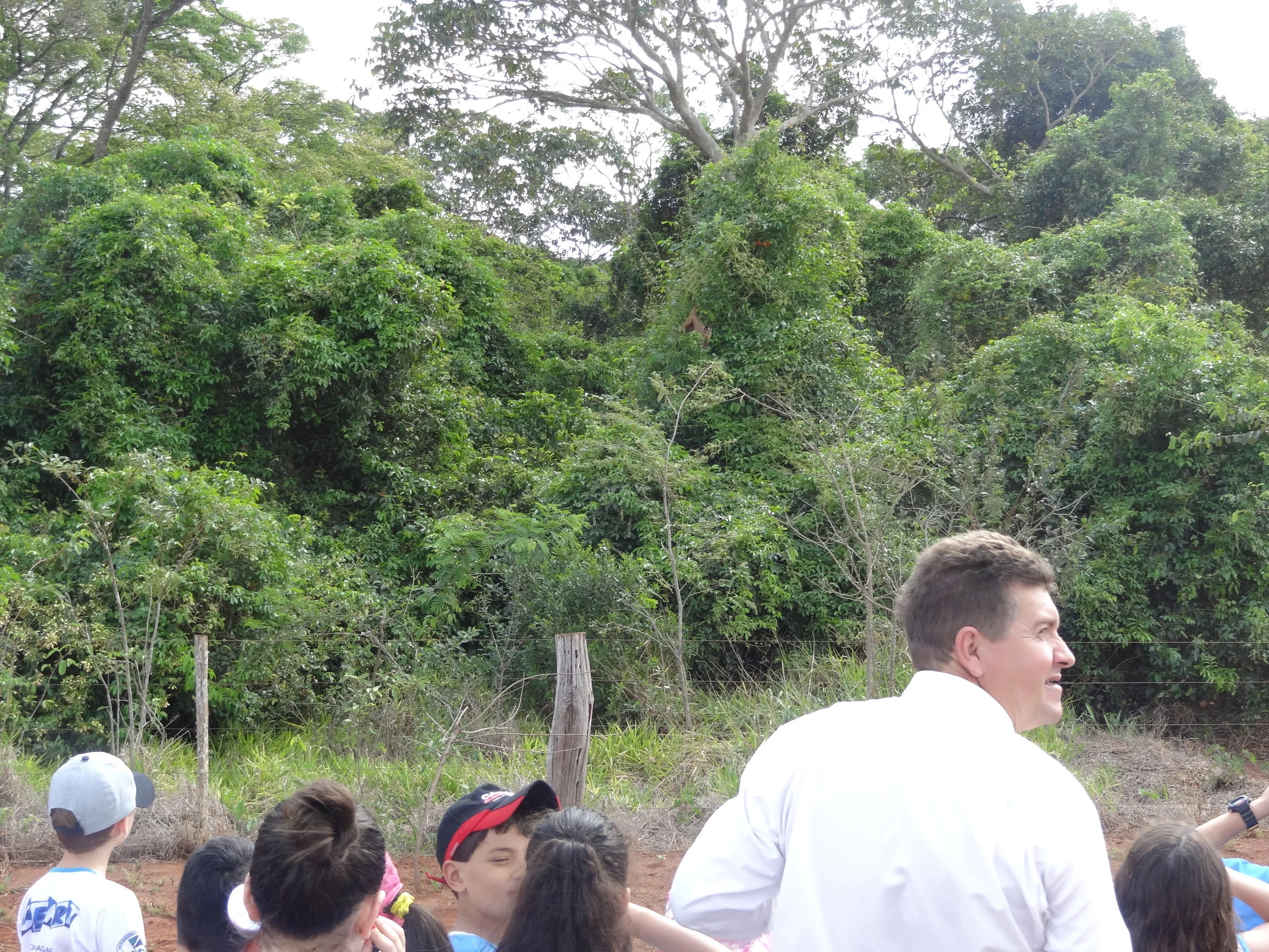 Projeto "Abelhas" - 2º ano B - Profª Eunice