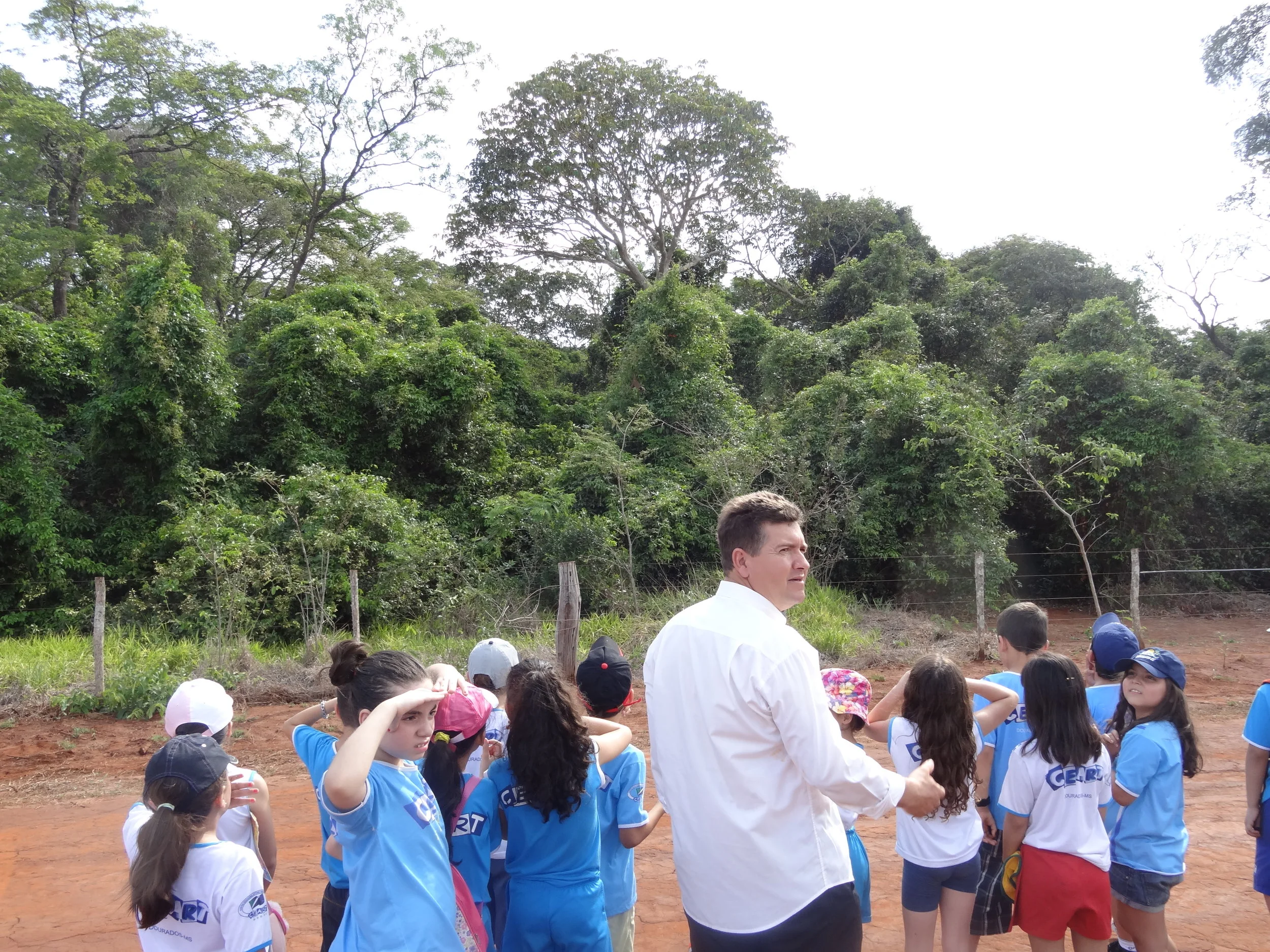 Projeto "Abelhas" - 2º ano B - Profª Eunice