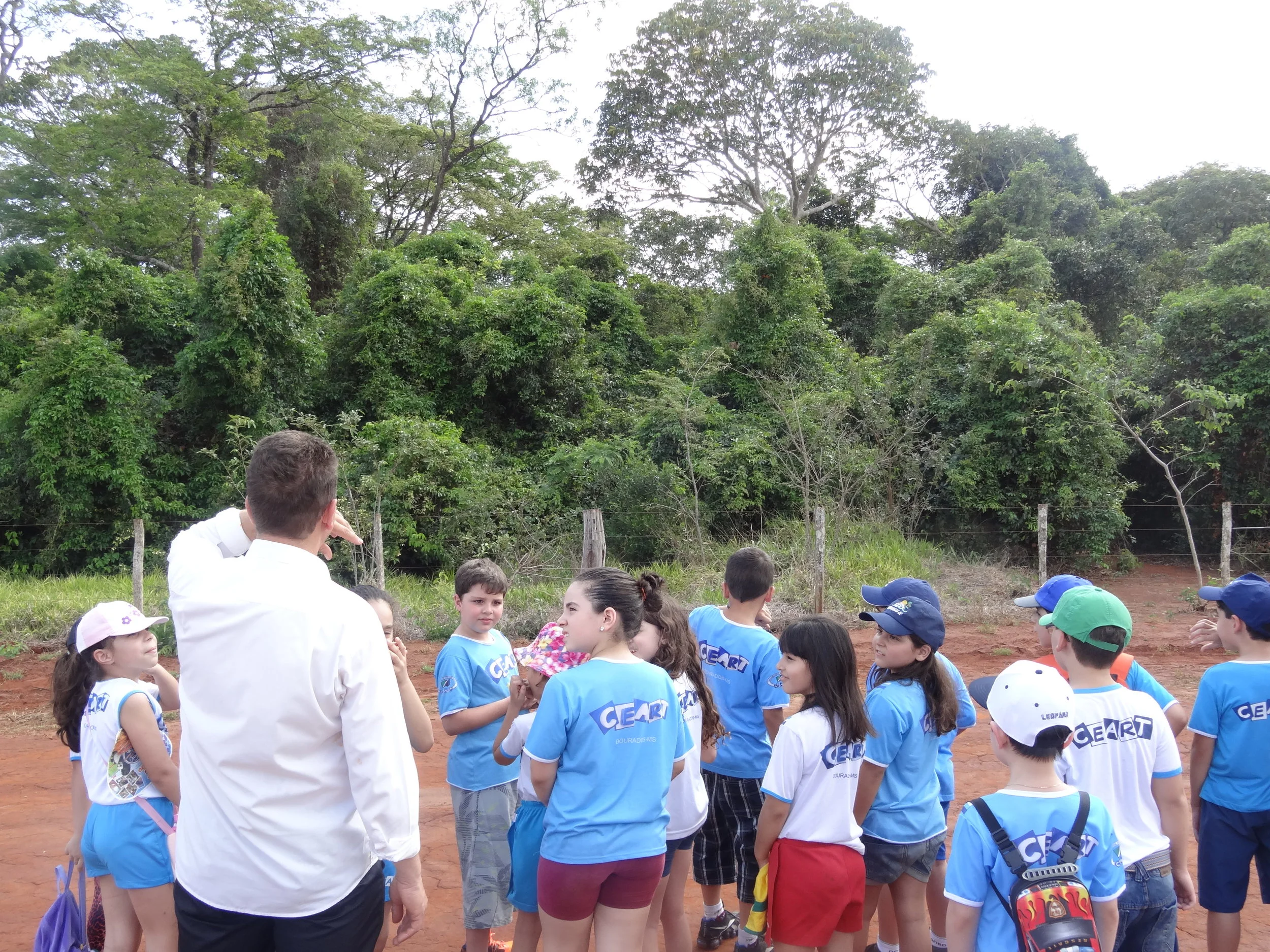 Projeto "Abelhas" - 2º ano B - Profª Eunice
