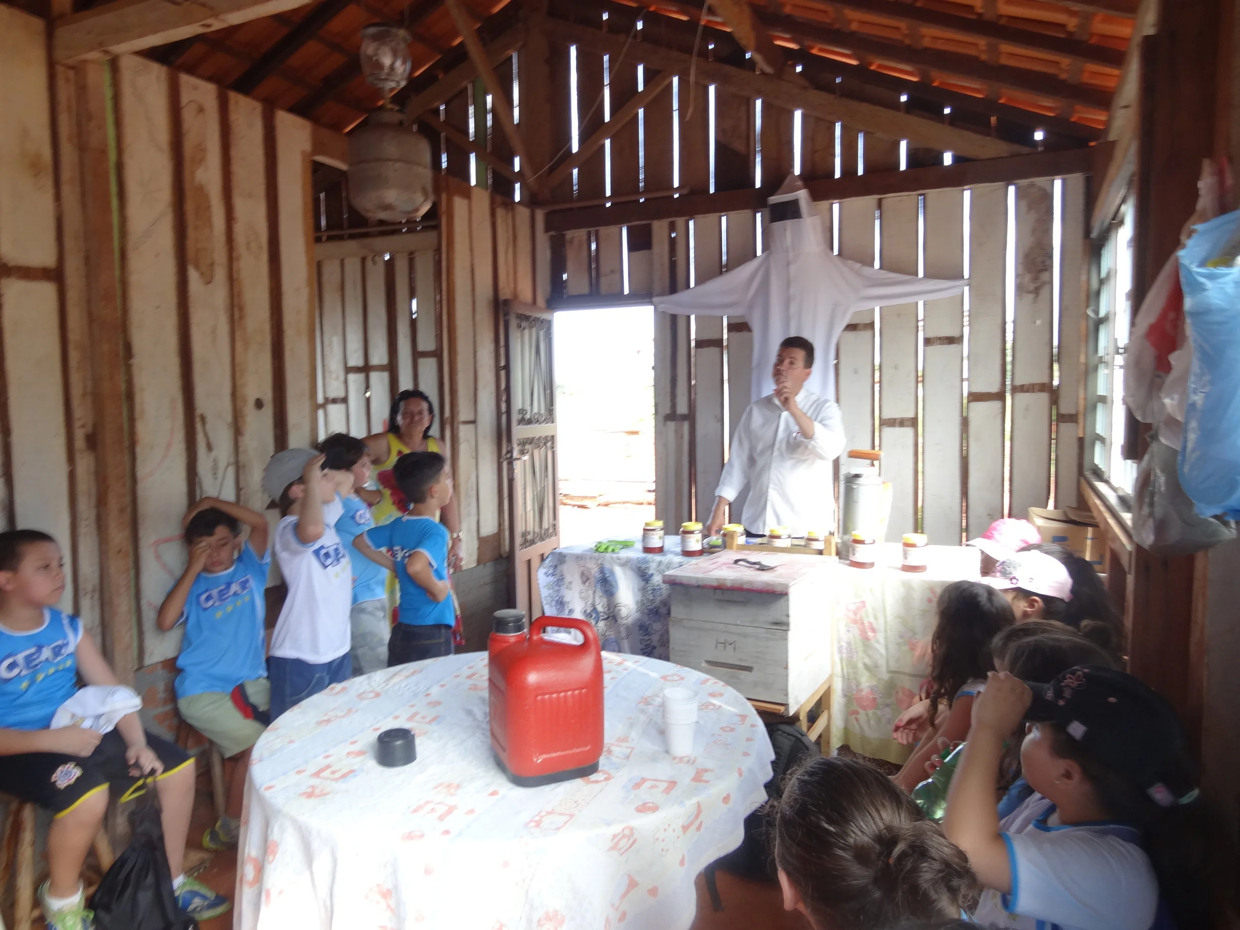 Projeto "Abelhas" - 2º ano B - Profª Eunice
