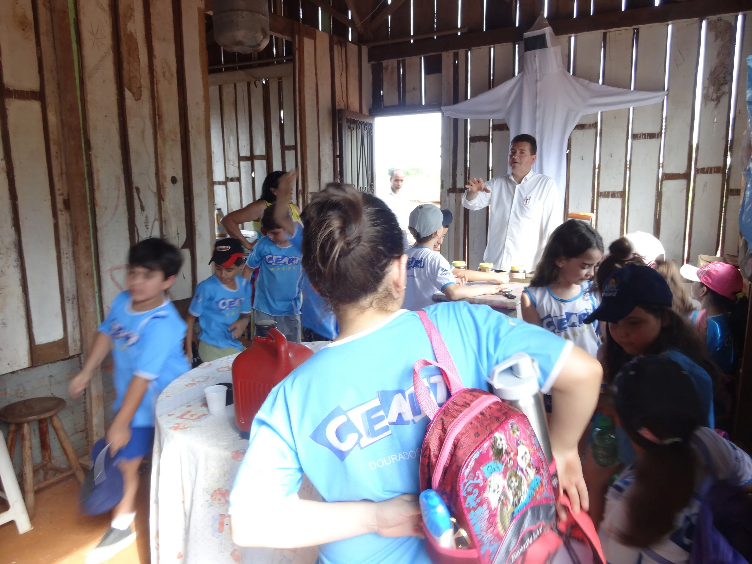 Projeto "Abelhas" - 2º ano B - Profª Eunice