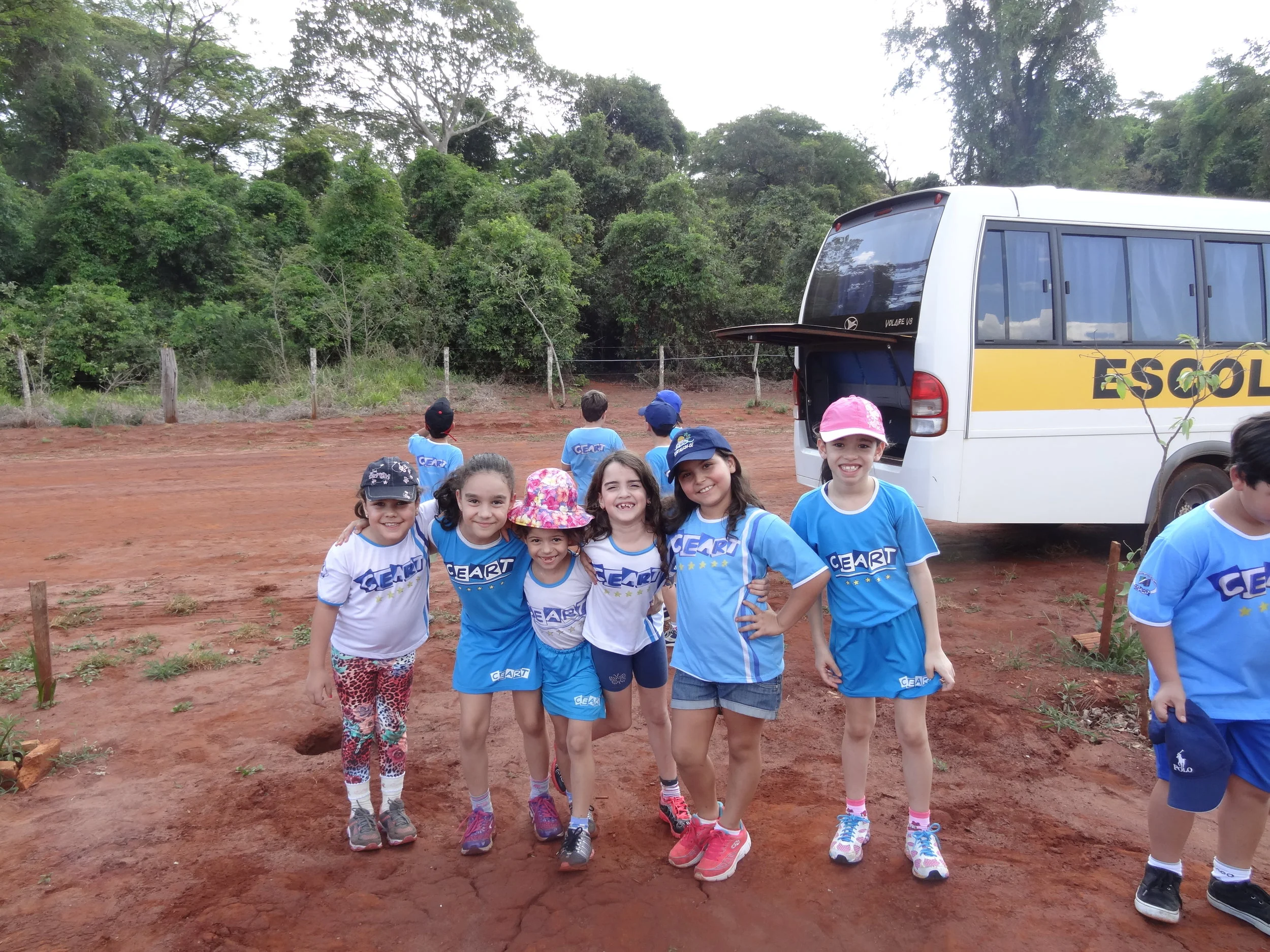 Projeto "Abelhas" - 2º ano B - Profª Eunice